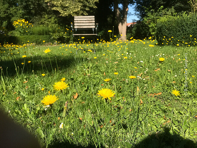 Aus der Freude leben