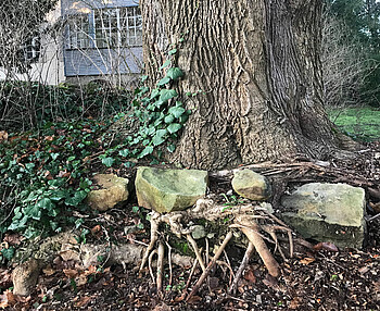 Gartentag Medita et labora