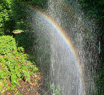 Erinnert Euch an den Regenbogen