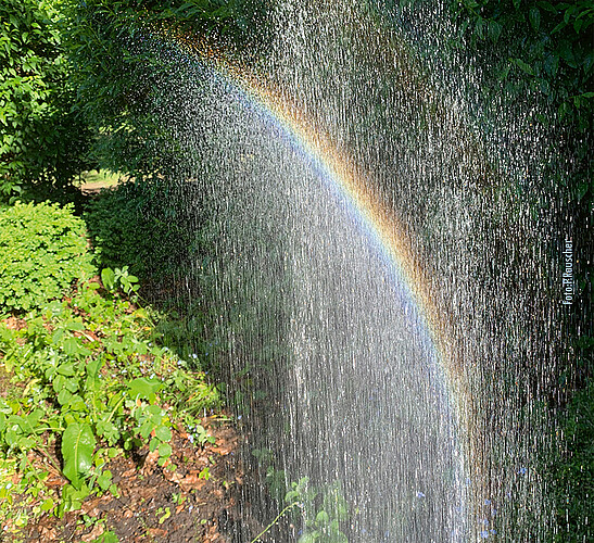 Erinnert Euch an den Regenbogen