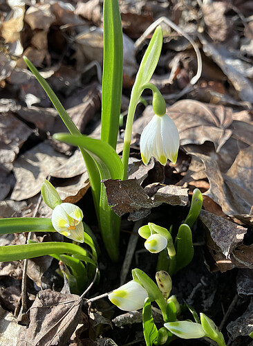 Weiterbildung für Meditationsanleitung und geistliche Begeleitung