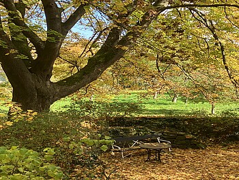 Feldenkrais und Herzensgebet