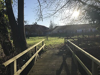 GEH – geh DEINEN WEG – geh ihn AUFRECHT