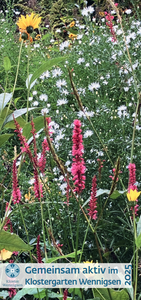 Garten 2025