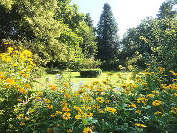 Gartentag Medita et labora