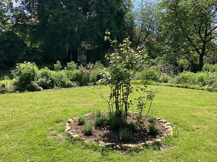 Rondell im Klostergarten