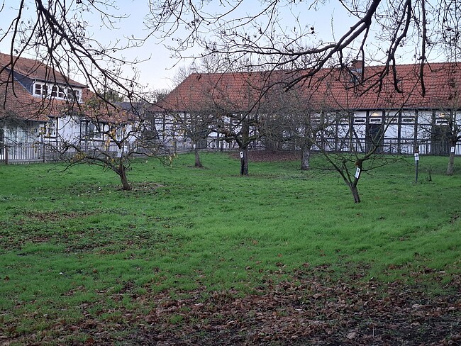 Gartentag mit Abschlussfest