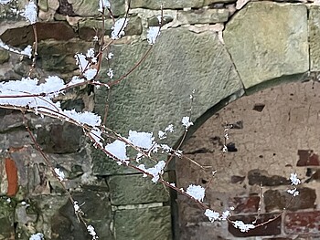 Gast sein im Kloster