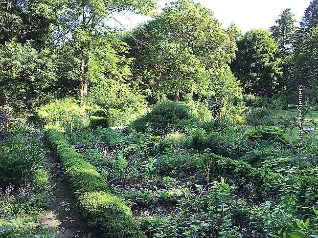 Kräuterkunde im Klostergarten