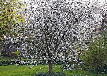 Gartenexerzitien