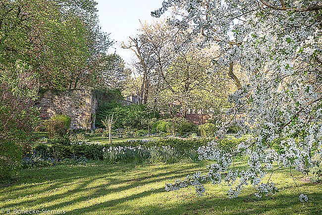 Obstbaumpflege im Klostergarten