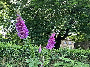 Gartenexerzitien