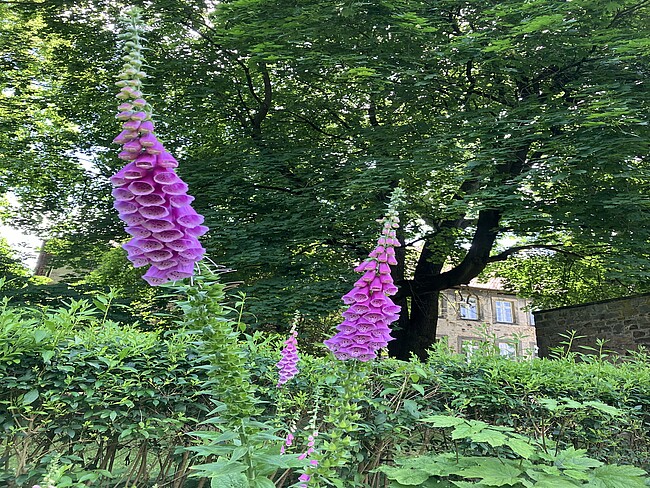 Gartenexerzitien