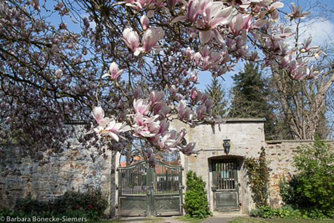 Gartentag: ‚Medita et labora‘