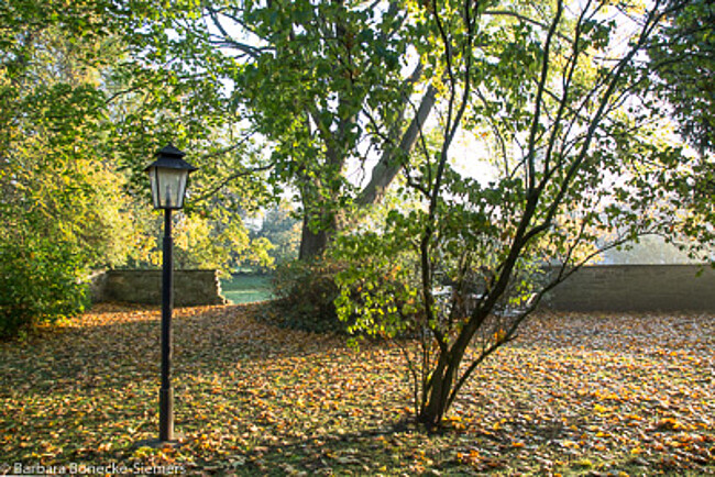 Gartentag – 4	Gartenpflege zur Winterruhe