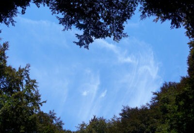 Klostertag: Tiefe - ganz nah