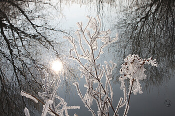 Brich an, o schönes Morgenlicht