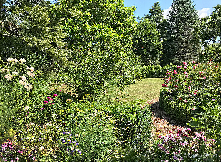 Blick_in den Garten - B.Boenecke-Siemers