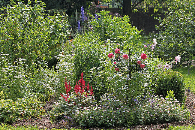 Kräuterkunde im Klostergarten